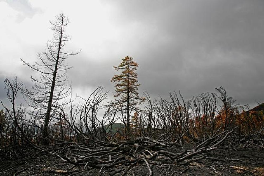 Dietro il 70% dei decessi globali ci sono malattie sensibili al clima